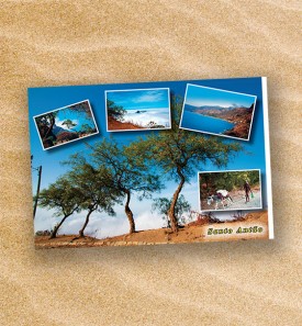 Postcard-149105-PC14-1029
