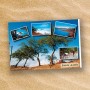 Postcard-149105-PC14-1029
