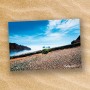 Postcard-149105-PC14-1036
