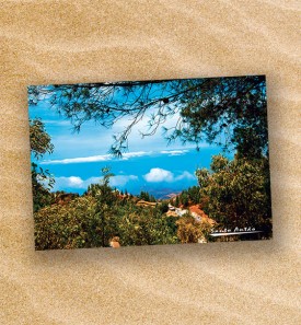 Postcard-149105-PC14-1041