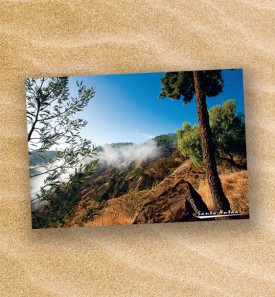 Postcard-149105-PC14-1048