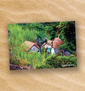 Postcard-149105-PC14-1064