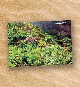 Postcard-149105-PC14-1065