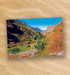 Postcard-149105-PC14-1071